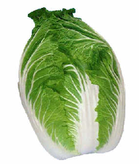  �ļ�����������Ŷ�����