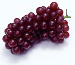  ������ɫˮ���ļ��ʷ� ͼ