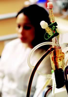 �����������Ʒ�ʪ���߲�