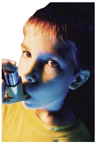 ����������������ָ��