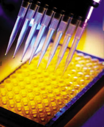 �ΰ�ѪҺ��������