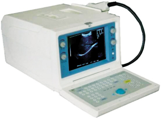 ���ּ����߸�ҽ����е