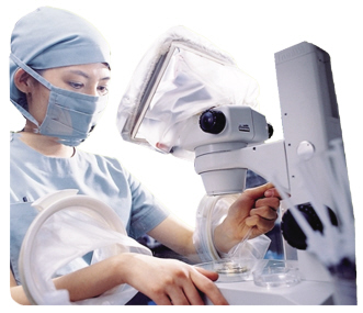 ������������ɸ���������ͿƬ��