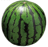 
	
   	������Ӫ��