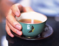 
	
   	����Ӫ�� 