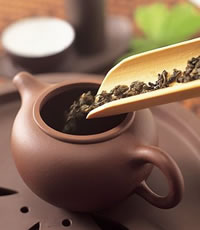 
	
   	����Ӫ�� 