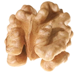 
	
   	˥����Ӫ��