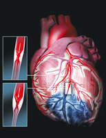 ȫ���ļ�����ͳһ����