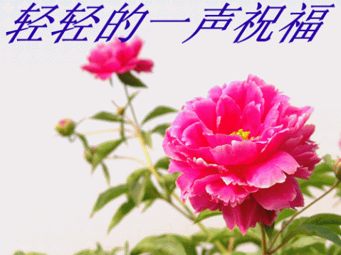 
	
   	ҽ�Ʊ�����ҩ��24��