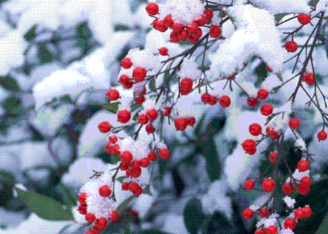 
	
   	���� ������Щ�˲����õ���̺��