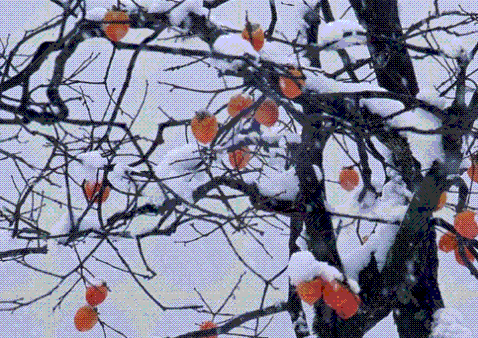 
	
   	���� ������Щ�˲����õ���̺��