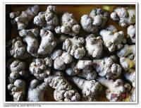 
	
   	ֹѪ���٣�����