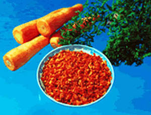 
	
   	���� �����ּҳ�ʳ��ɷ����ٰ�