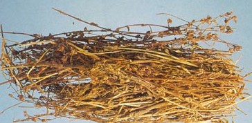 
	
   	Ư������ҩͼƬ