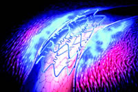 ����һ�����ʱ �ع�2007 AHA���֮����