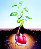 2007 AHA�������˥���ȵ��ߢ