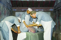 �����������񡪡����߲ɷ��ּ�ժ¼