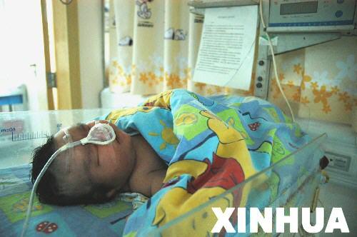 ������Ӥ���и���˳������