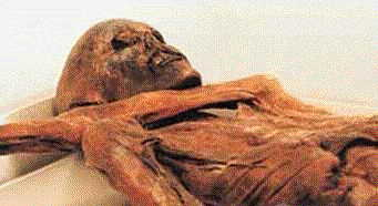 ����:�������ǧ����������