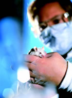 �Ӷ���ʵ�鵽�����ٴ����顪����ȫ֮·?