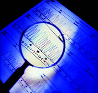 �����Լ������ۺ�����������:CHRNDͻ��