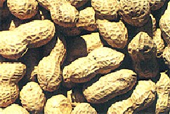 ʮ����ζ��� ����ʳ�ý���