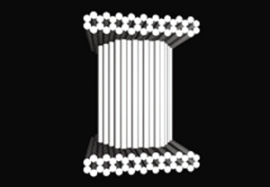 ��֯һ��DNA����Ͱ