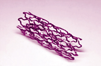 ֧�����������