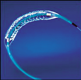 ֧�����������