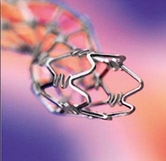 ֧�����������