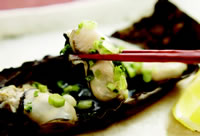 ŵ�粡����θ����