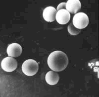 �׵���:ʮ��δ�˵�����