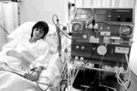 ͸���������Ԥ��������