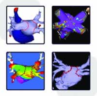 ��12�첨ʿ���ķ������������ߢӢ