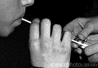 θ��θ�׻���<sup>13</sup>C���غ��������׳ʼ�����