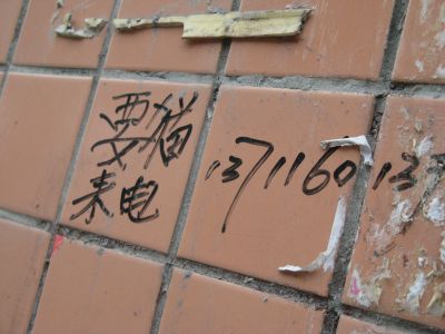 ����è�ڹ㶫������ʳ                     