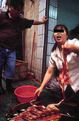 ����è�ڹ㶫������ʳ                     