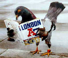  







���ô��о�����:��ѧһ���������մ�4��







