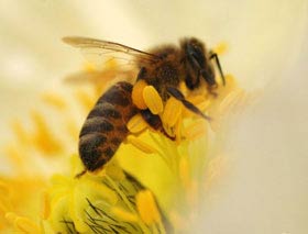  �÷����Ʒ����Ը��ഺ��ͼ