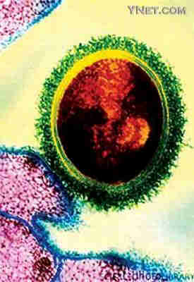  Ӣ�����ֲֿ�"ʳ���" 24Сʱ����ʴ����ȫ��