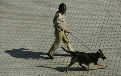  ����ҽ����ͷ�������������߼����浽��Ժ