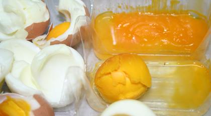  �����켦�������� ���н�������α