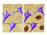 2006���񾭼����ٴ���չ�ع�(��)