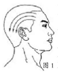 ��ҽһ�����������Ƽ�������