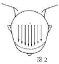 ��ҽһ�����������Ƽ�������