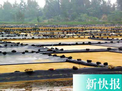 ˽��������Ļ����أ���ˮ����ɹ������˽��