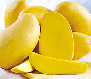              ˮ���ж�������̫����          