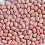              ���Ի�����֬����          