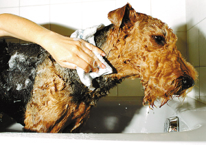              ���г��� ���ÿ�ܴ�ɨ��          