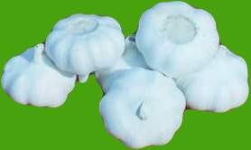              ������Ʒ������ ������ �̲�          